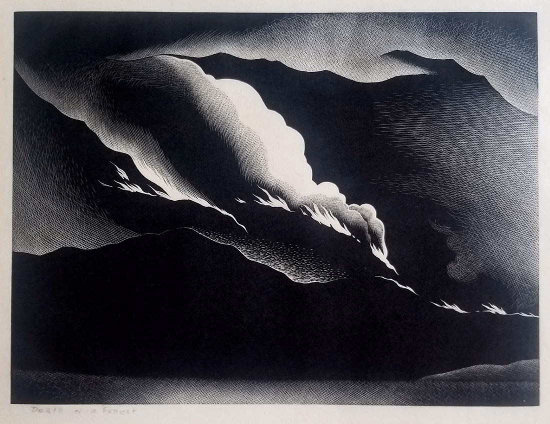 Image of a Wood engraving on wove japanese paper, full margins. The artist is Paul Landacre and he has titled this "Death of a Forest." The image is quite dark and evokes a dark mountainside with billowing smoke from a forest fire.